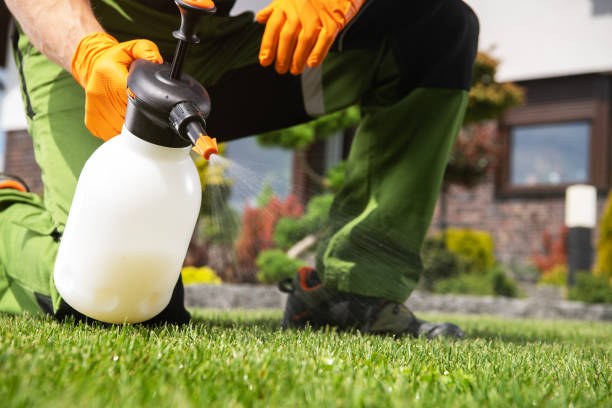 Best Pest Prevention Services  in Granville, OH