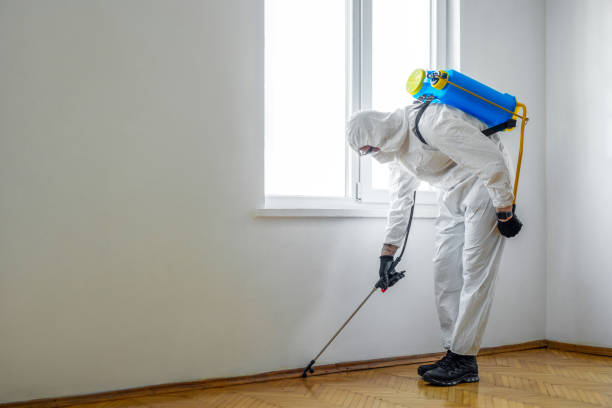 Best Local Pest Control Services  in Granville, OH