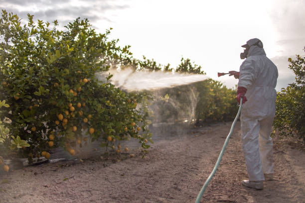 Best Insect Control  in Granville, OH