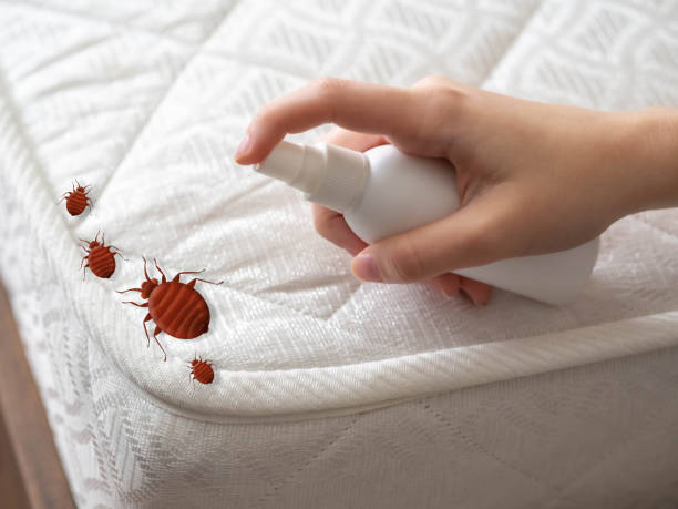 Best Flea Control Services  in Granville, OH